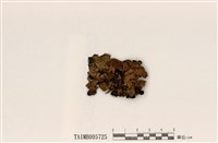 藏品(朝比奈島衣)的圖片